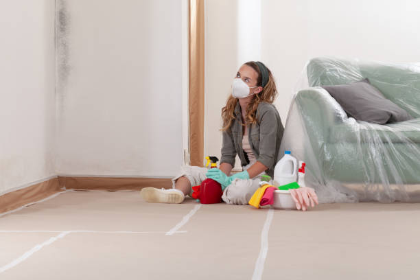 Reliable Basement Mold Remediation contractor in Eagle, MI by Car Mold Remediation